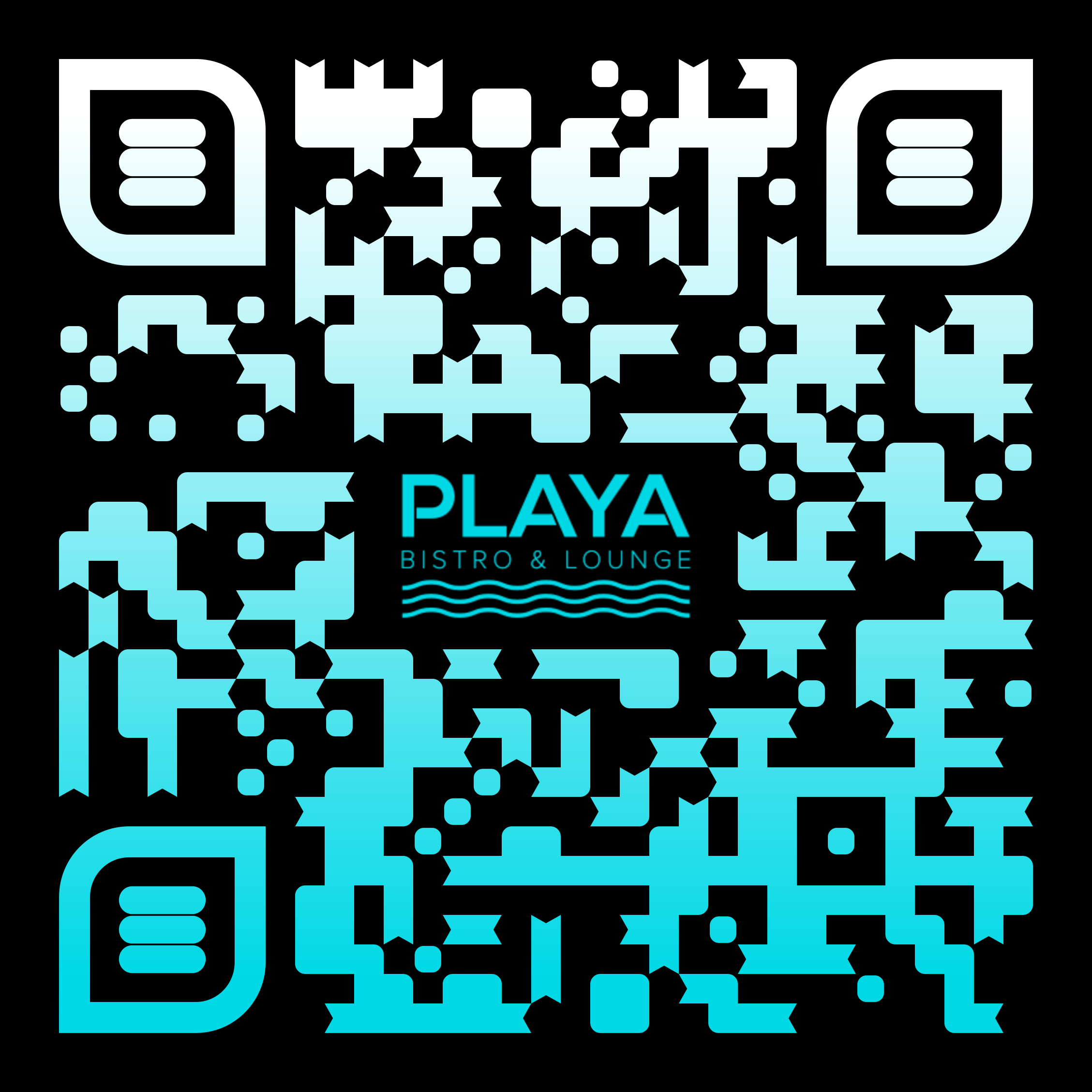 Playa QR Code